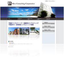 株式会社ブロックスコンサルティング様
