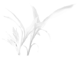 fadeless.co.,ltd